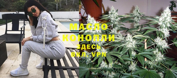 прущие грибы Медвежьегорск
