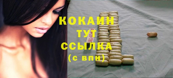 первитин Новодвинск