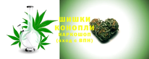 ECSTASY Гусев