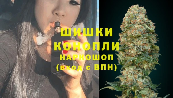 прущие крисы Сясьстрой