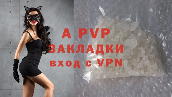 ECSTASY Гусев