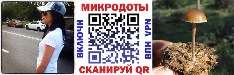 Псилоцибиновые грибы мухоморы  как найти закладки  Белоусово 